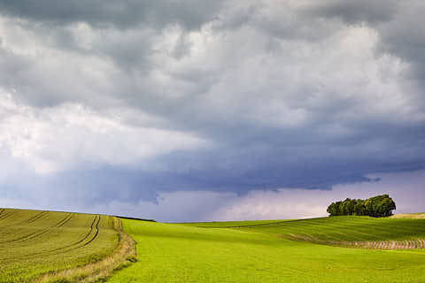 Gemeinde Reischach Landkreis Altötting Golderberg Arbing Allee (Dirschl Johann) Deutschland AÖ